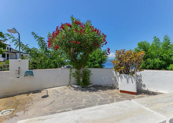 - Monolocale Sul Mare Apartment Capoliveri (Isola d'Elba)